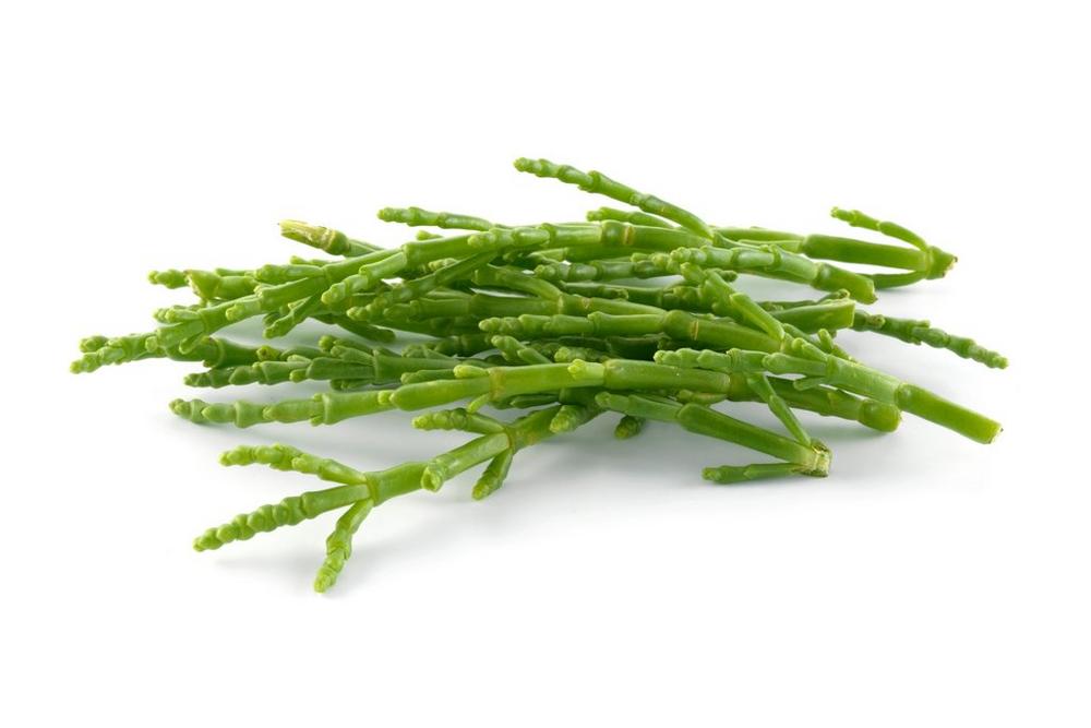 Brakes Samphire 100g