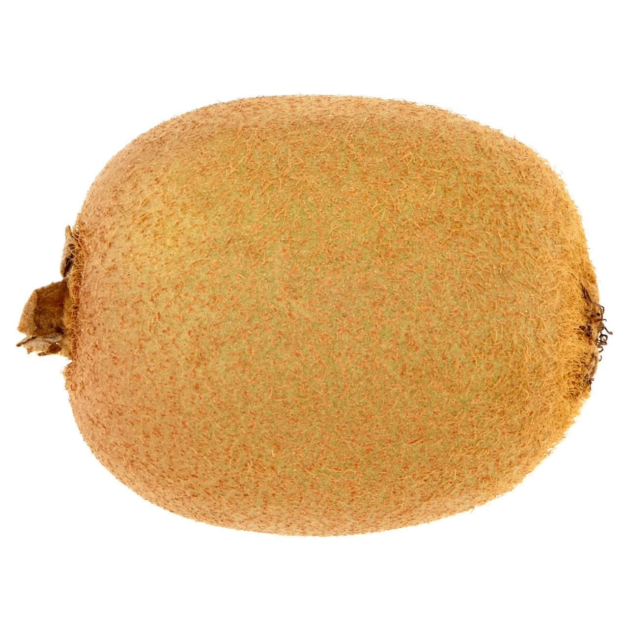 Loose Jumbo Kiwi