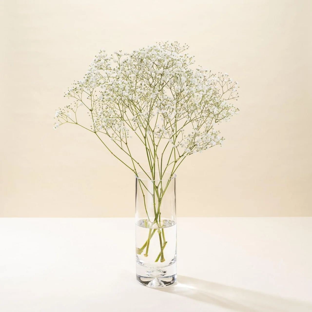 Morrisons Gypsophila Flowers