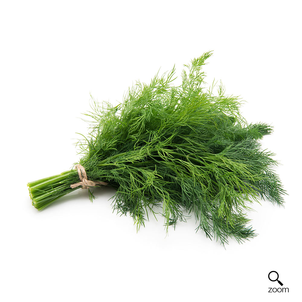Dill 50g