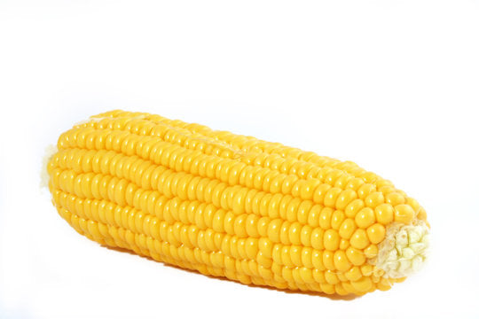 AMB Fresh Corn Cobs