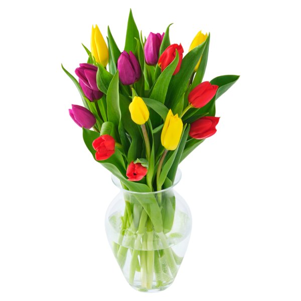 Mixed Tulips