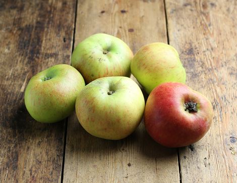 AMB Bramley Cooking Apples per kg