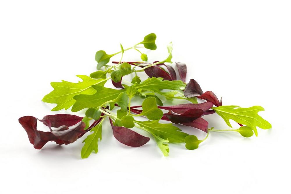 Brakes Mixed Micro-Greens 100g