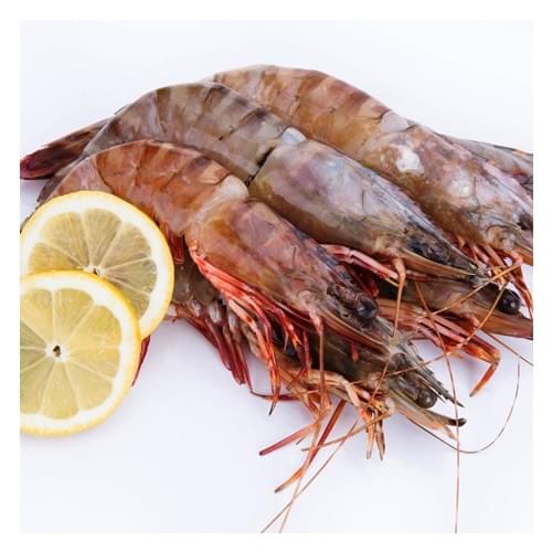 Fresh King Prawns Crevettes 1kg pack