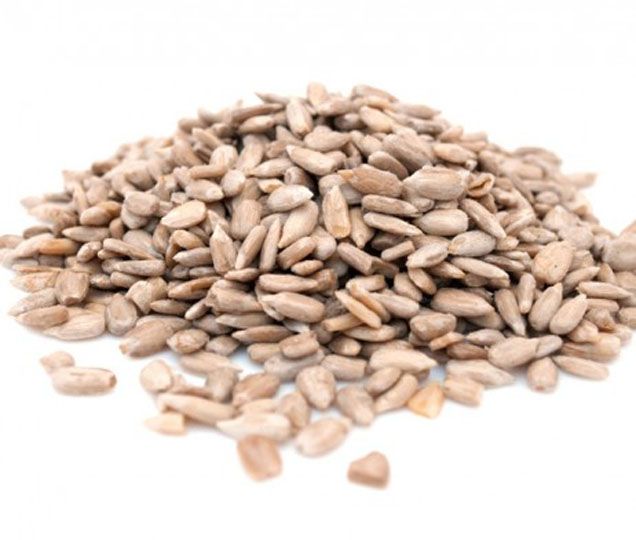 Curtis Sunflower Seeds 1kg