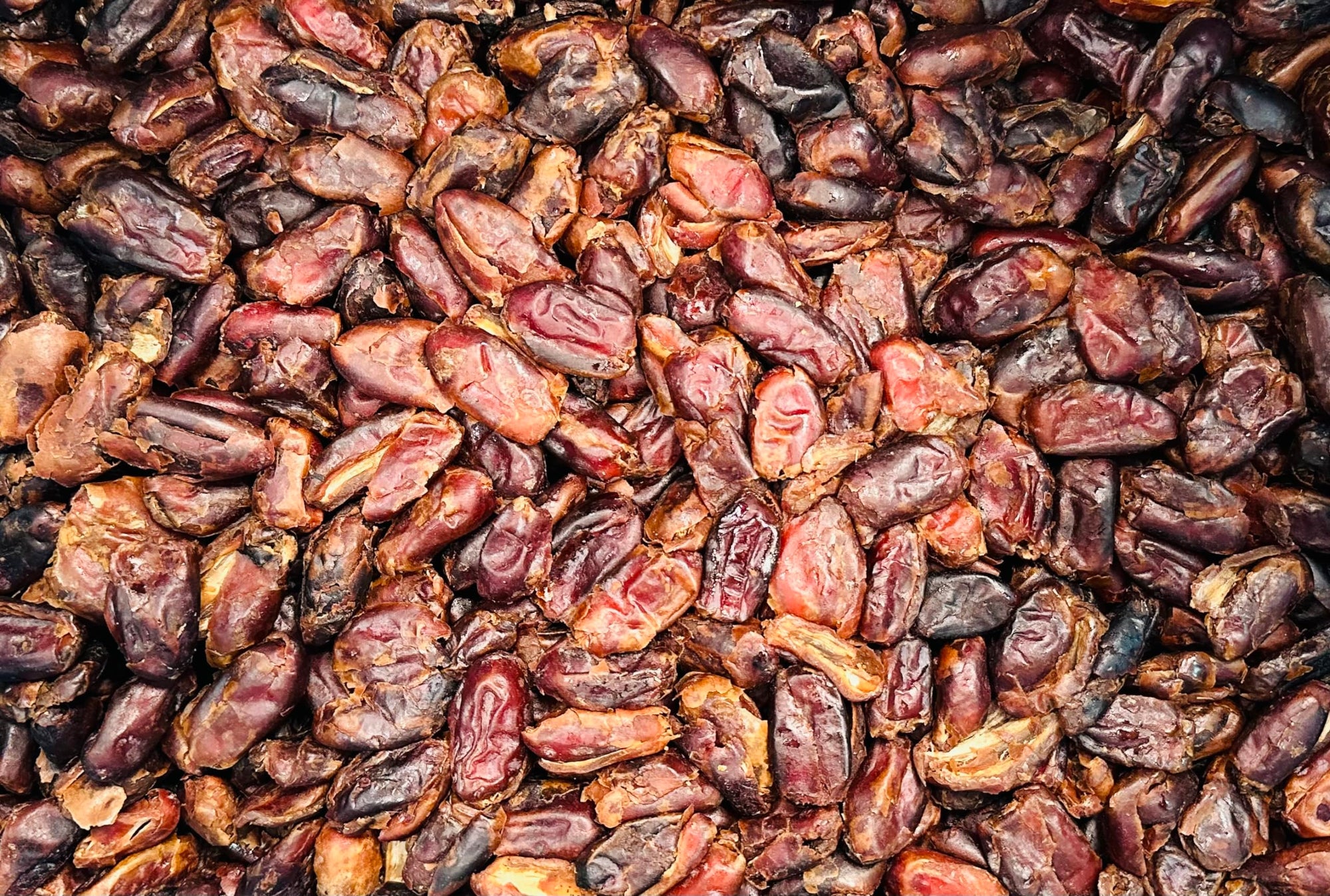 Everyday Favourites Pitted Dates 3kg
