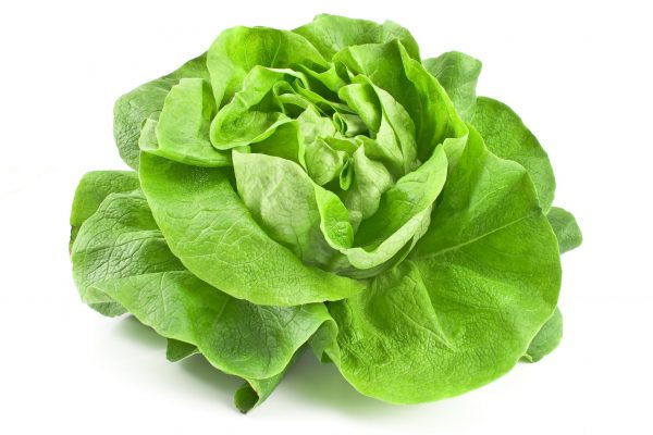 AMB Flat (Round) Lettuce