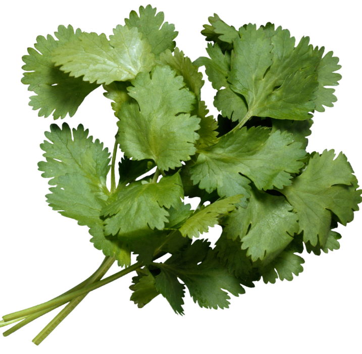 AMB - Coriander 100g