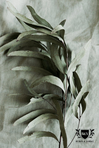 B&Y Eucalyptus Linen Microfibre Tea Towel