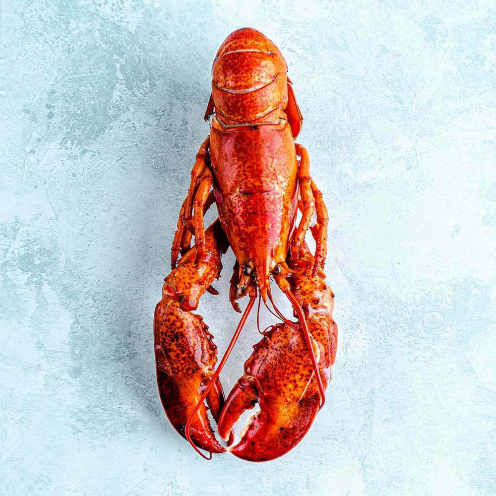 Costco Lobster - whole, cooked, previously frozen 2pk (per kg)