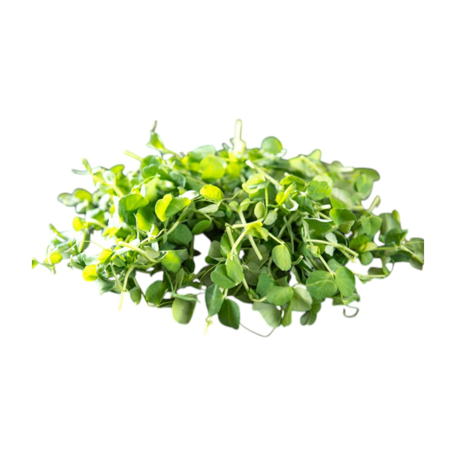 Mudwalls Pea Shoots Punnet 100g