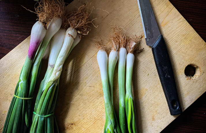 Heritage Spring Onions