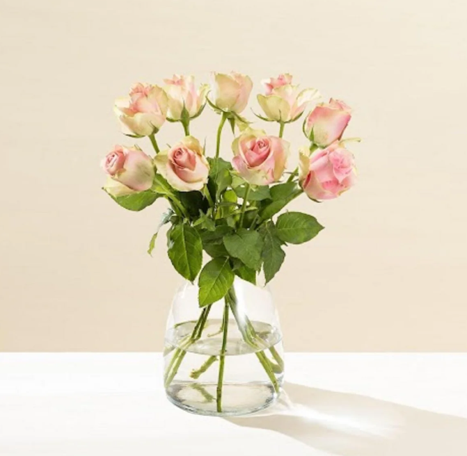 Morrisons Warm Colour Rose 40cm