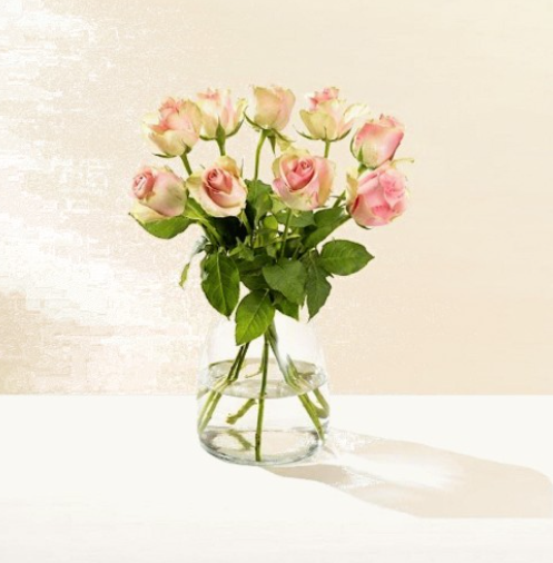 Morrisons Roses Warm Colours