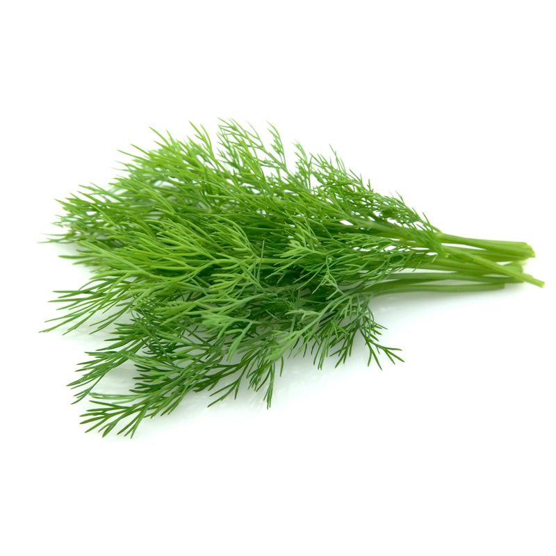 AMB - Dill 100g