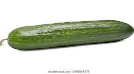 Cucumber LARGE size
