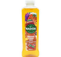 Radox Bath Cosy Cabin Orange & Vanilla 500ml