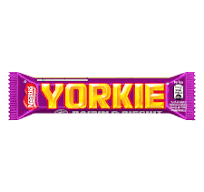 Yorkie Raisin Biscuit 44g