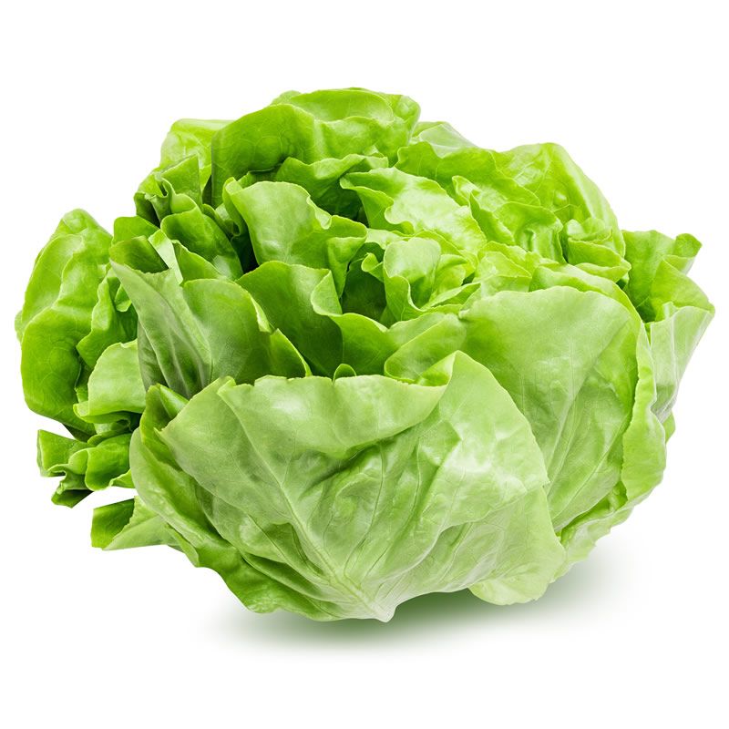 Flat Lettuce ea