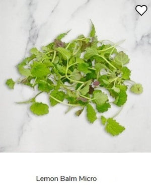 AMB Micro Herbs Punnet - various