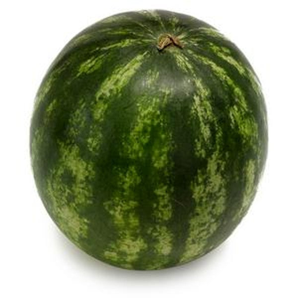 AMB Watermelon