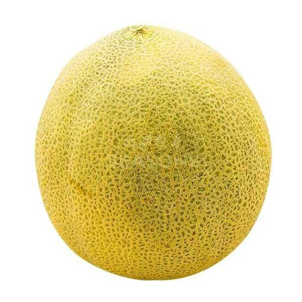 AMB Canteloupe Melon