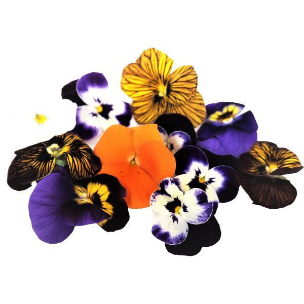 AMB Edible Viola Flowers 5g