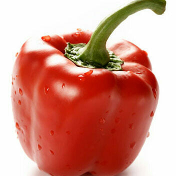 AMB Pepper Red Ea