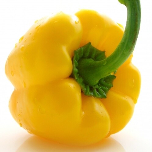 AMB Pepper Yellow Ea