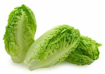 AMB Little Gem Lettuce 2pk