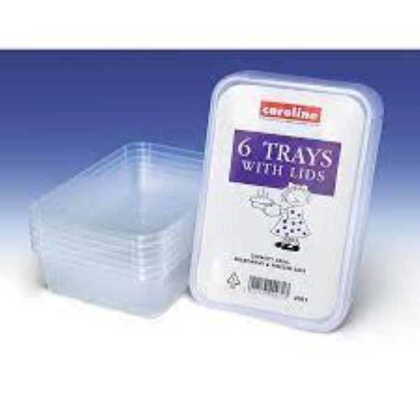 Caroline 6 Plastic Trays with lids 500ml