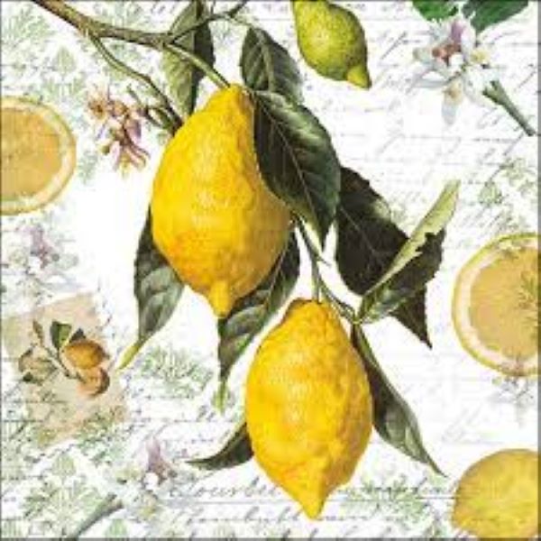 Ambiente 33cm Napkin Lemon x 20