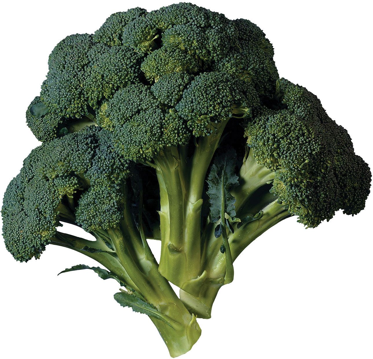 AMB Broccoli per kg